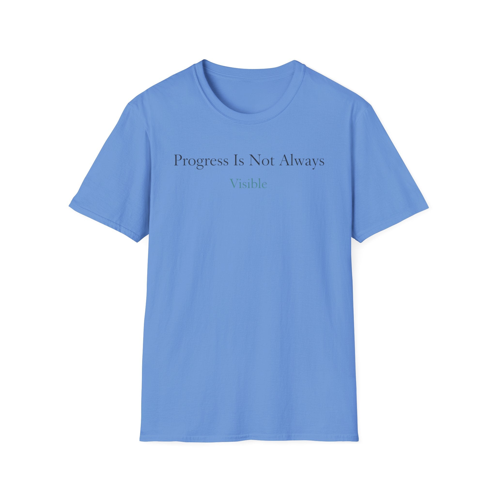 Progress Is Not Always Visible T-Shirt