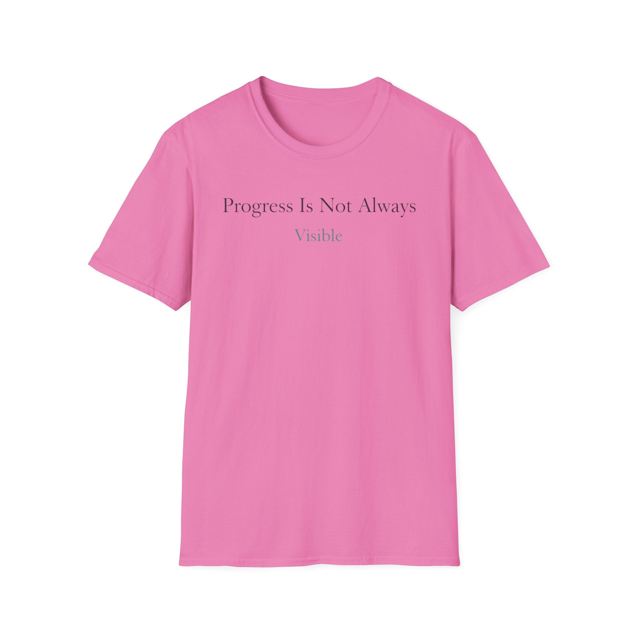 Progress Is Not Always Visible T-Shirt