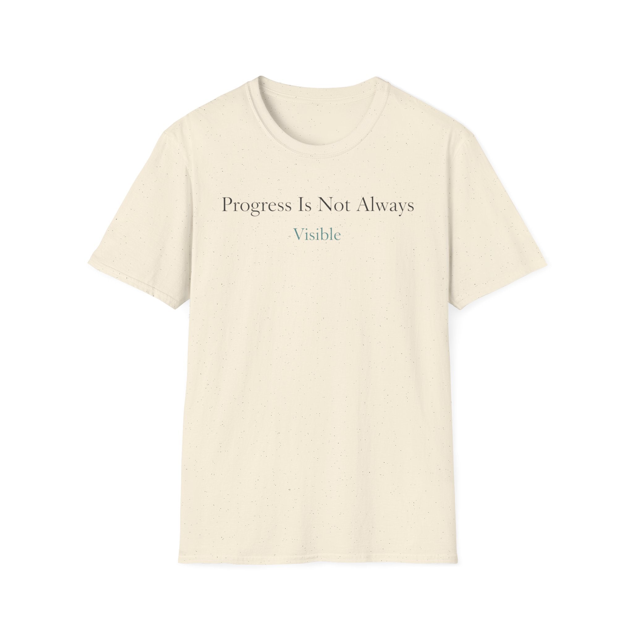 Progress Is Not Always Visible T-Shirt