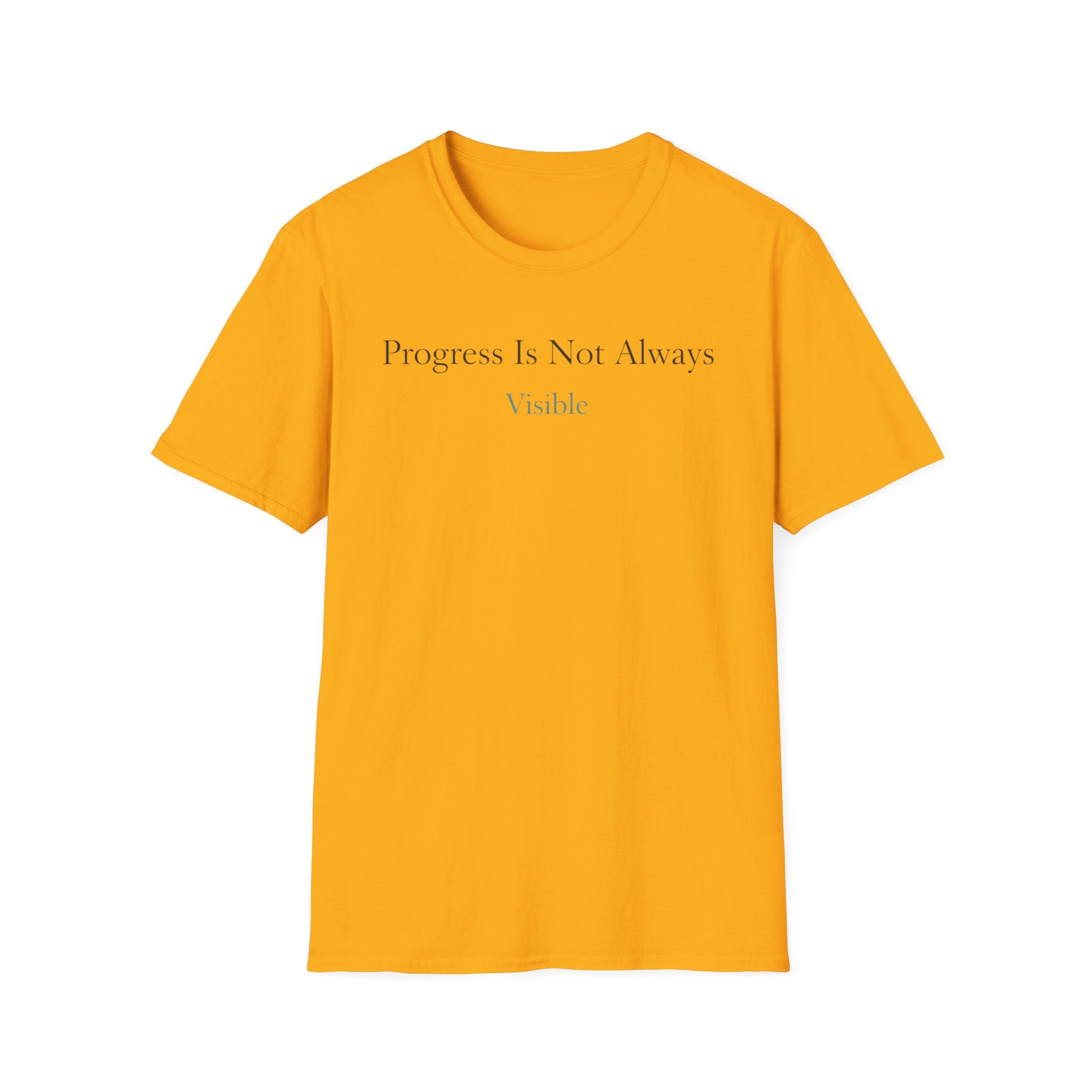 Progress Is Not Always Visible T-Shirt